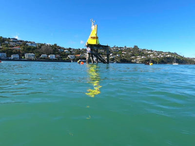 Nelson Sea Swims - Nelson