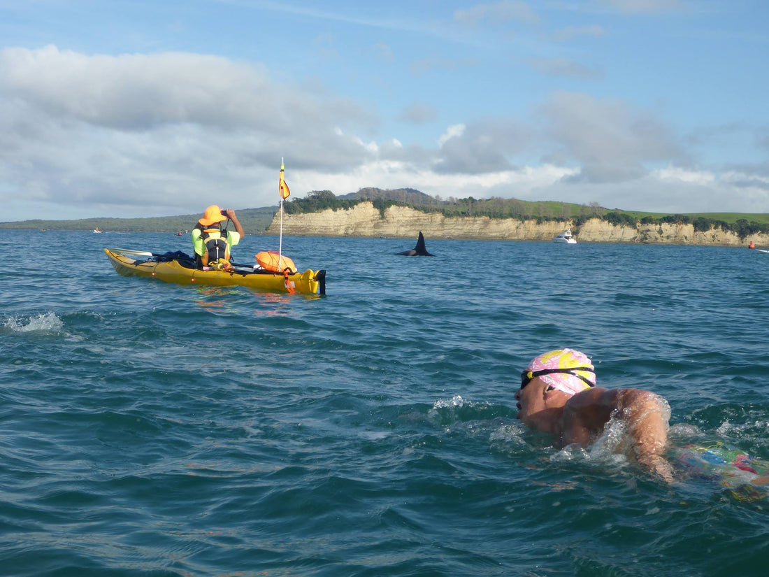 Ocean Swims NZ - General Info