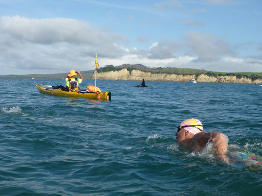 Ocean Swims NZ - General Info