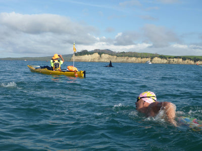 Ocean Swims NZ - General Info